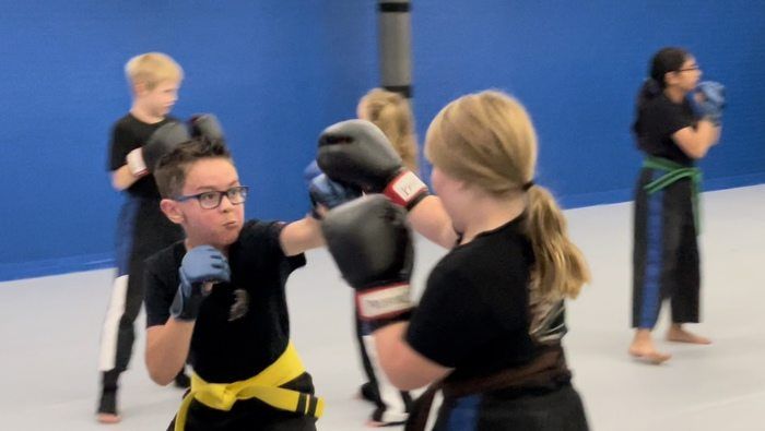 <div><span style="color: rgb(0, 0, 0);">Our kids martial-arts classes Offer Skills For A Lifetime</span></div>