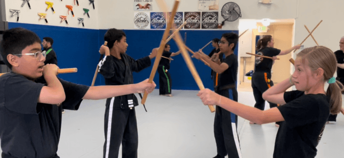 <div>The Drills And Physical Activities In Our kids martial-arts Class Are Fun And Easy To Follow</div>